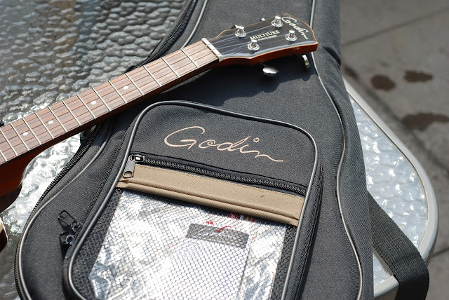 godin multiuke gig bag