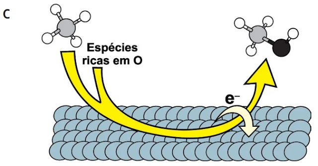 Figura C