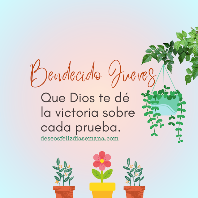 lindas frases positivas del feliz jueves por Mery Bracho