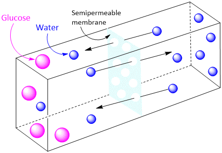 Molecular Sieve Theory of Osmosis