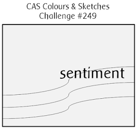 http://cascoloursandsketches.blogspot.co.uk/2017/11/challenge-249-sketch.html