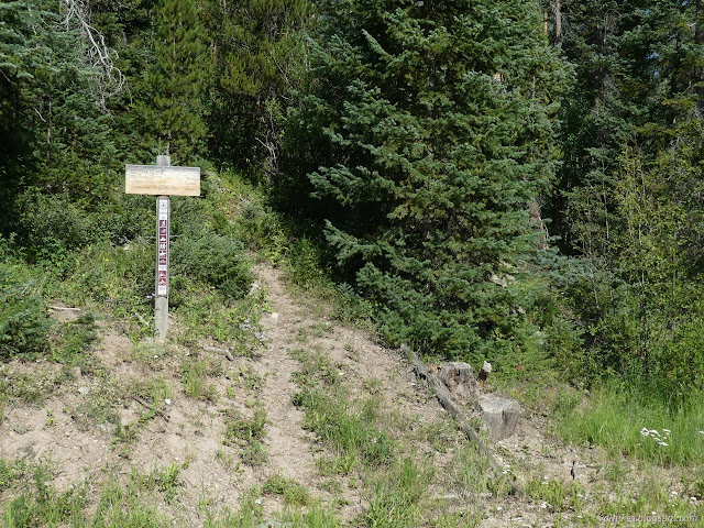 00: wooden sign beside a thin trail