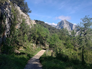 Descenso a Cabañes