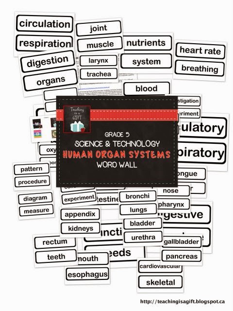 Teachingisagift Human Organ Systems Word Wall for Grade 5 Science