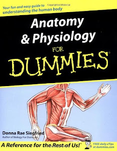 Anatomy & Physiology For Dummies®