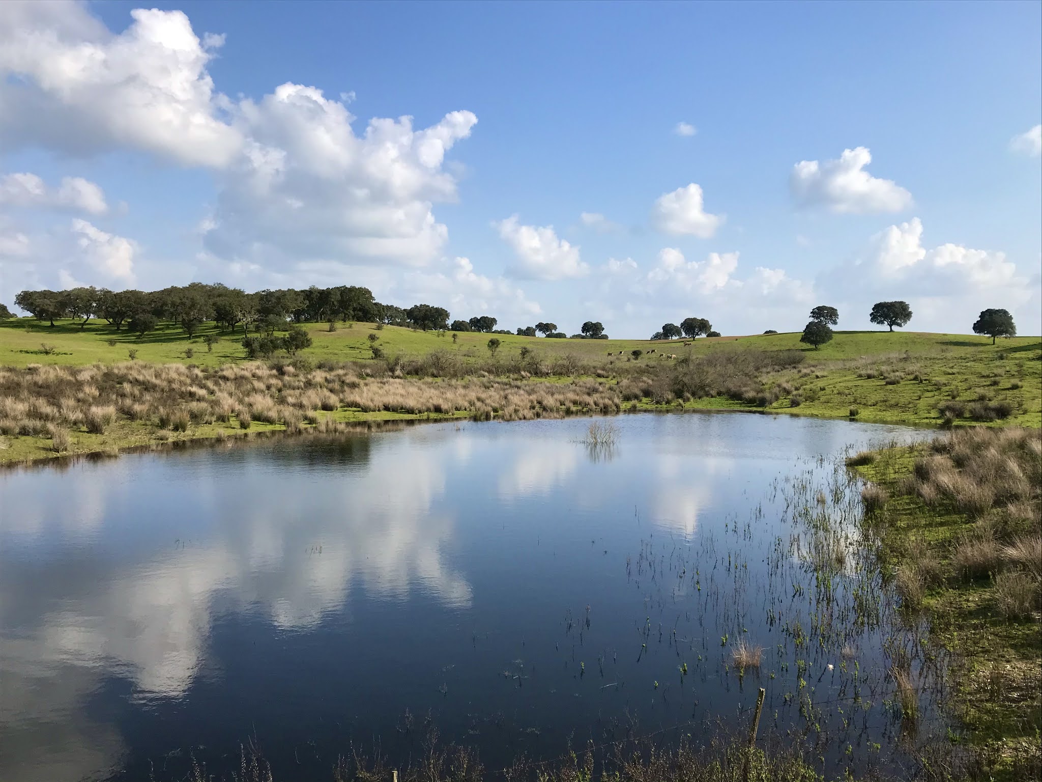 Alentejo, Primavera, Portugal