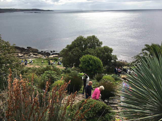 Cornwall seaside garden