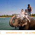 Elephant Bath In Jim Corbett Luxury Resorts