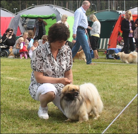 nkk trondhjem 2010 114