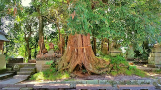 人文研究見聞録：揖夜神社 ［島根県］