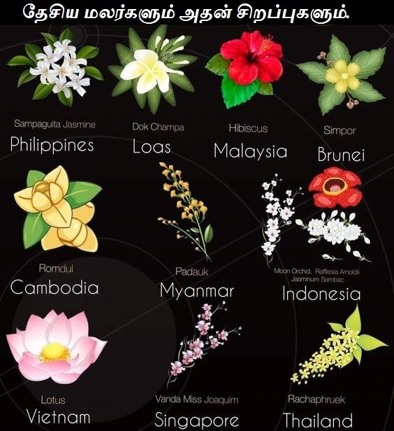 தேசிய மலர்களும் அதன் சிறப்புகளும் - National flowers and their specialties - Part 1.
