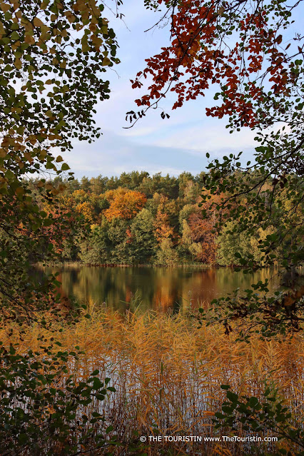 A still body of water surrounded by thick forest in brightly coloured autumn foliage, which is reflected in the water.