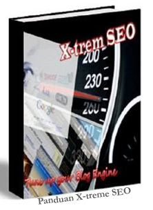 extreme seo