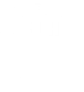 Football Club Goa Logo Vector Format (CDR, EPS, AI, SVG, PNG)