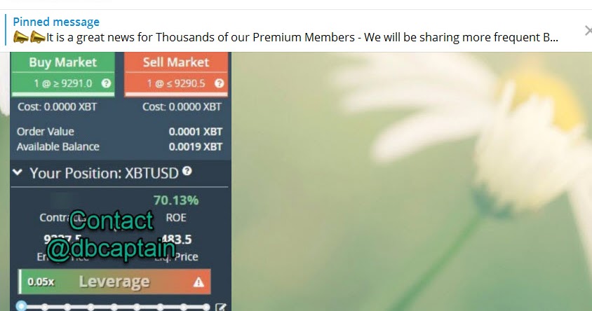 Best BitMEX Signals groups on Telegram & BitMEX Trading BOT: ##Poll Shows Most Traders Believe ...