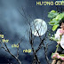 TRANG THƠ CHỦ NHẬT (Thơ Nguyễn Thái Dương)