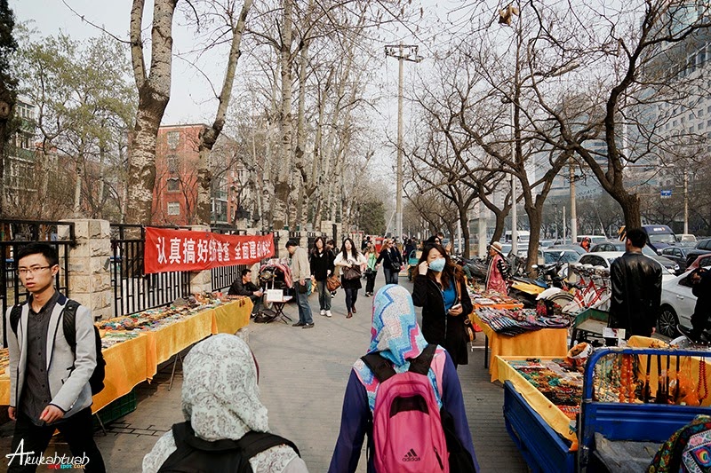 DSC02937