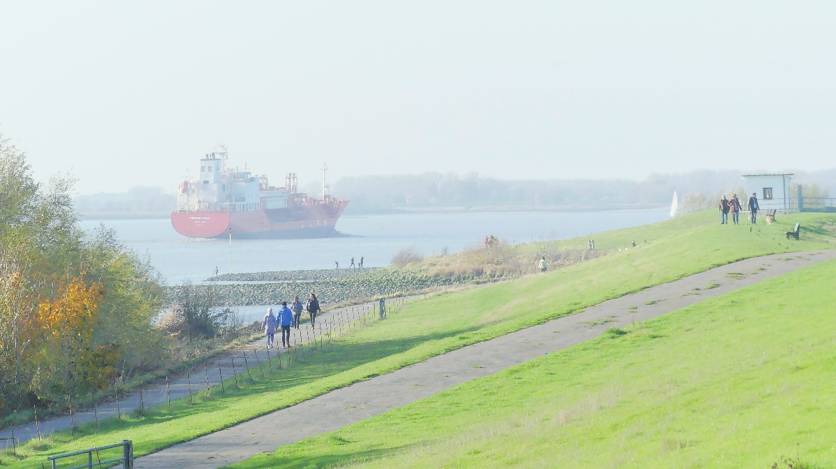 Die Elbe bei Kolmar