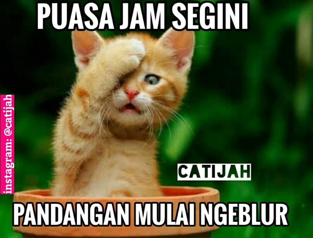 Siap Cetak Meme Lucu Puasa Terbaru Gambar Lucu Terbaru Gratis