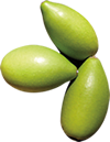 Fruit d'argan