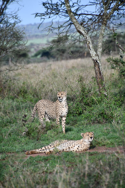 Serengeti National Park