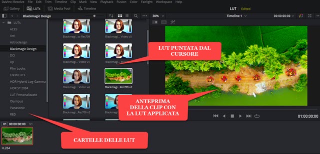 applicare le LUT con DaVinci Resolve