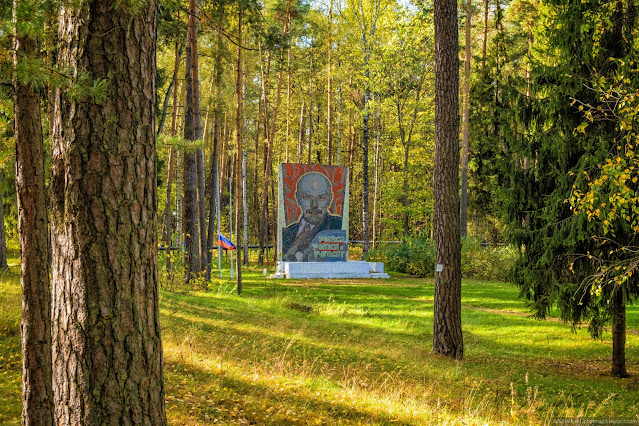 Мозаика среди сосен с изображением лица Ленина