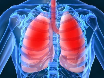 Sintomas da Pneumonia