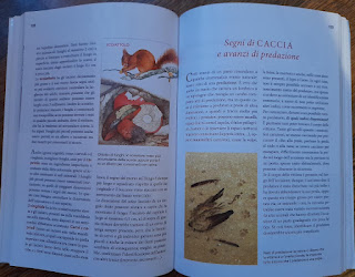 Tracce - riconoscere gli animali dai loro segni,Cesare della Pietà,Franco Testa,Eliana Ferioli,Silvia Pecora,Edizioni L'Erta,natura,scoperta,animali,resti di cibo,spiumate,cortecce,scolitidi,galle,uccelli,insetti, A casa di Anna blog, annapisapia.blogspot.com