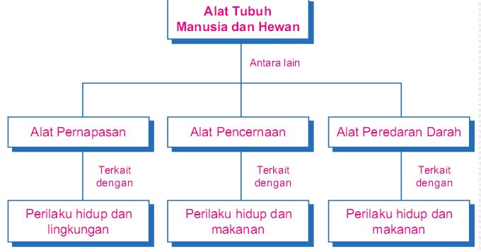 Materi Pelajaran IPA Kelas 5 Sekolah Dasar.  Download 