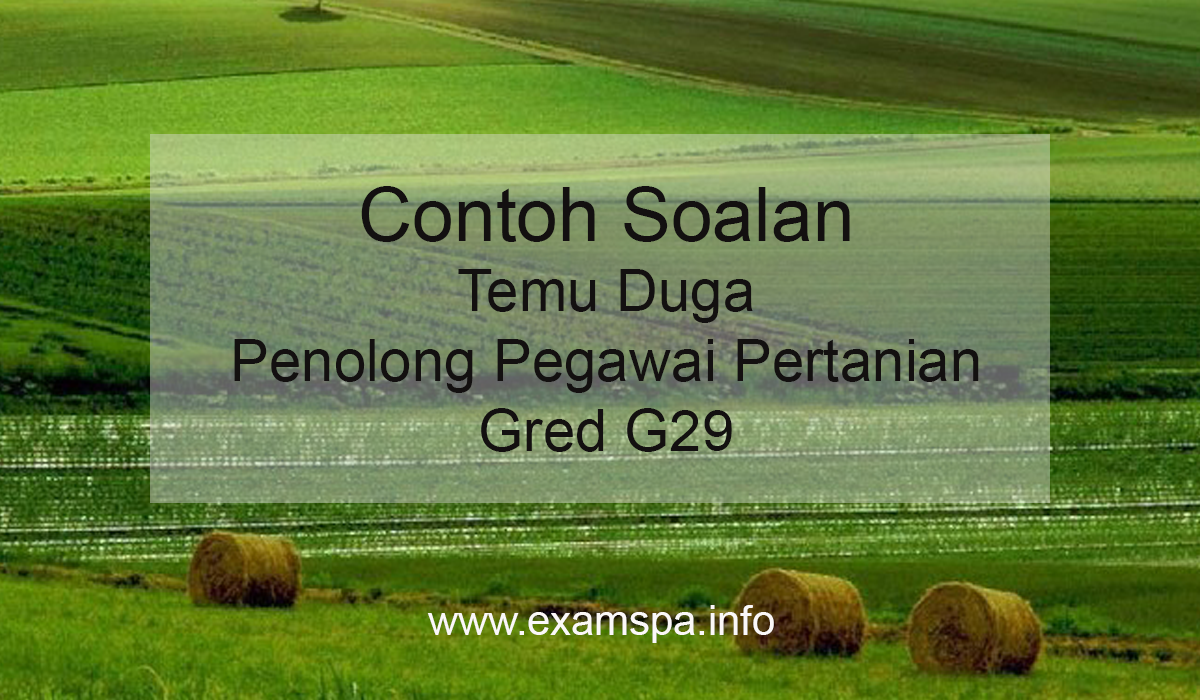 Contoh Soalan Temu Duga Penolong Pegawai Pertanian Gred 