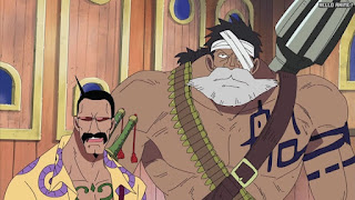 ワンピース アニメ ウォーターセブン編 256話 ルル タイルストン | ONE PIECE Episode 256 Water 7