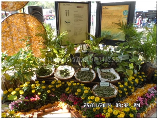 'งานเกษตรภาคอีสาน ขอนแก่น 2557