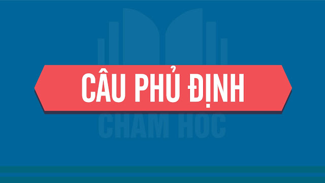 CÂU PHỦ ĐỊNH