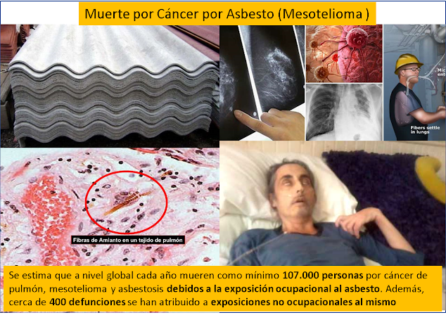 El-Asbesto-es-un-reconocido-agente-cancerigeno