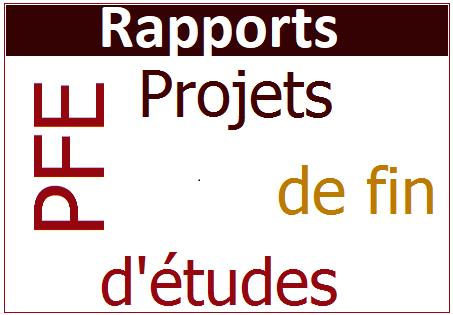 Rapports PFE licence 2018-2019