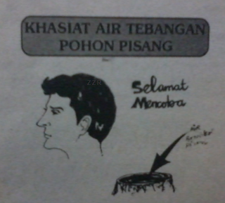 Ilustrasi rambut hitam