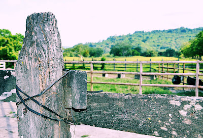 Alrededores de Tlapacoyan, Veracruz