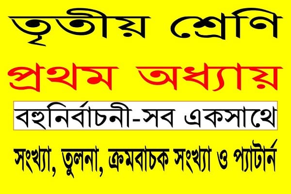 তৃতীয় শ্রেণির গণিত: (প্রথম অধ্যায়) সংখ্যা ও প্যাটার্ন অধ্যায়ের গুরুত্বপূর্ণ MCQ প্রশ্ন ও উত্তর | Class 3 Maths: Important MCQ Questions and Answers for Numbers and Patterns Chapter 1.