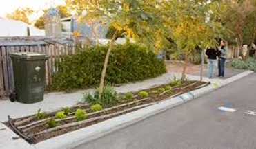 street_verge_garden