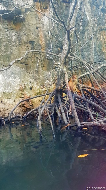 Kayaking in Ao Thalene, Krabi