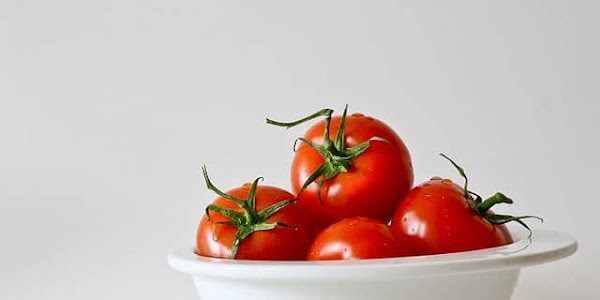 Tomatoes Play An Important Role In Our Diet - Health-Teachers