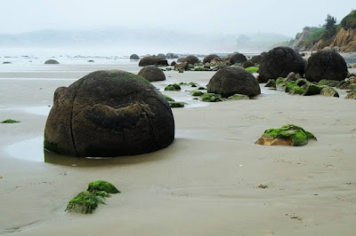 Moeraki Boulders