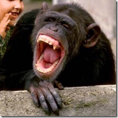 why-laughter-is-contagious-21