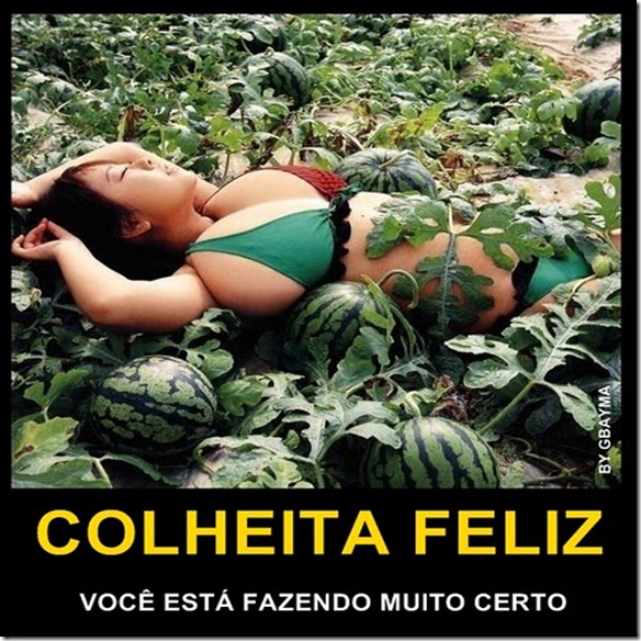 Sem  título