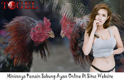 Minimnya Pemain Sabung Ayam Online Di Situs Website