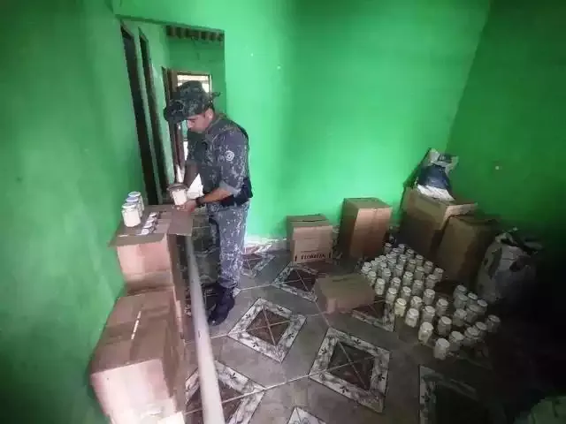Polícia Ambiental localiza fábrica clandestina de palmito no Vale do Ribeira