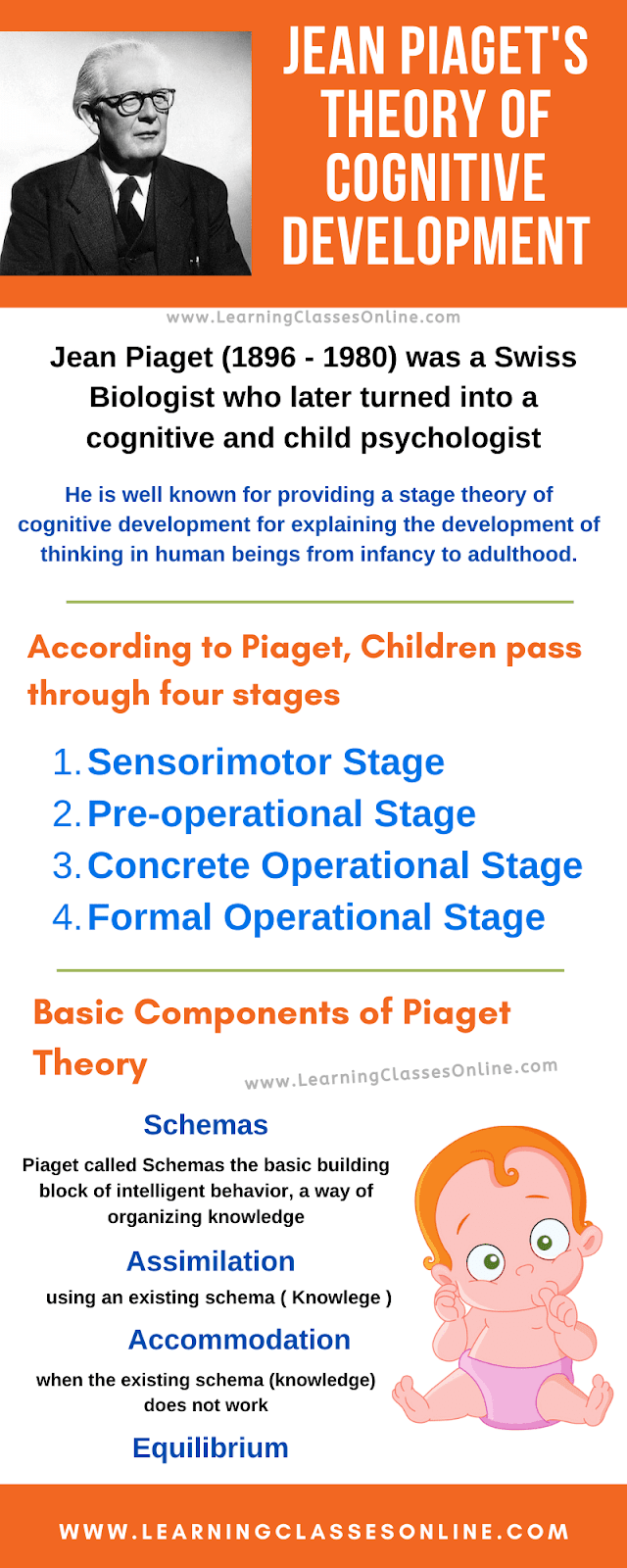 Jean Piaget's Theory of Cognitive Development, What is the theory of jean piaget, 4 stages of jean piaget cognitive development theory, jean piagets theory of cognitive development components and elements, about Jean Piaget, piaget's stages of cognitive development, piaget theory notes pdf ppt and detailed explanation with major points for b.ed and psychology students