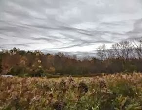 clip_image002