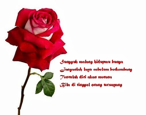 Kumpulan Puisi Cinta Sejati Romantis Paling Indah  Share 